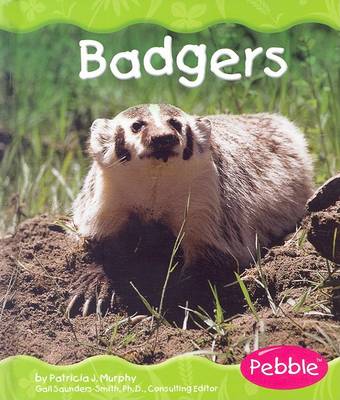 Cover of Badgers