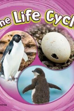 Cover of The Life Cycle