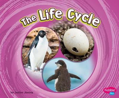 Book cover for The Life Cycle