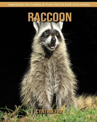 Book cover for Raccoon