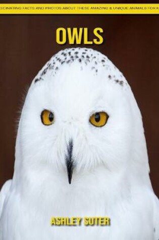 Cover of Owls