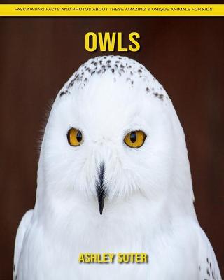 Book cover for Owls