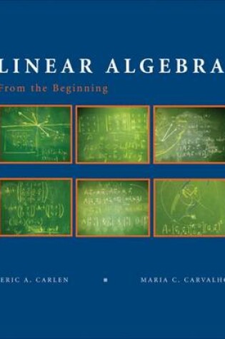 Cover of Linear Algebra for a Calculus Curriculum Preliminary Edition