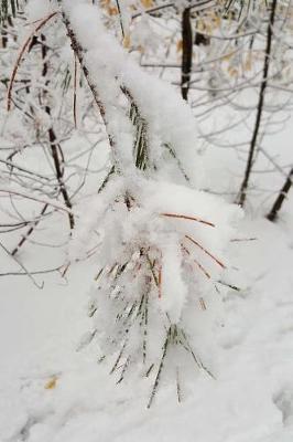 Cover of Pretty Winter Photography Journal