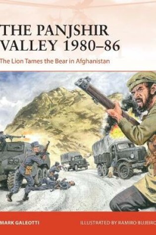 Cover of The Panjshir Valley 1980-86
