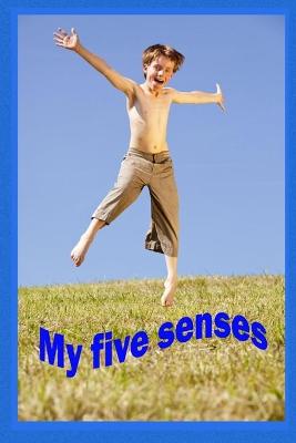 Cover of My Five Senses