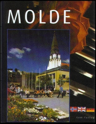 Book cover for Molde