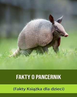 Book cover for Fakty o Pancernik (Fakty Ksi&#261;&#380;ka dla dzieci)