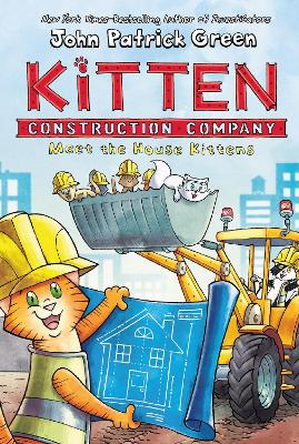 Book cover for Meet the House Kittens