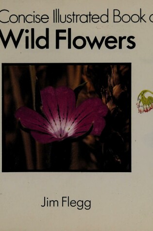 Cover of Concise Illustrated Wildflowers