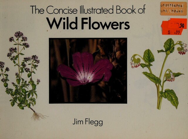 Book cover for Concise Illustrated Wildflowers