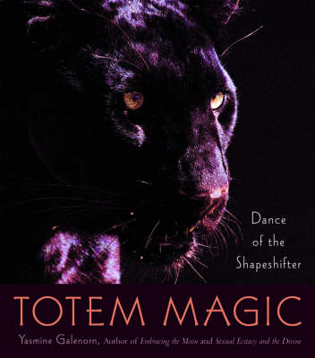 Book cover for Totem Magic