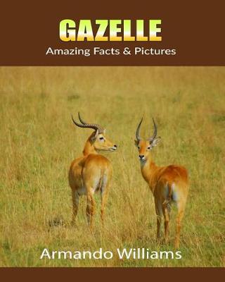 Book cover for Gazelle