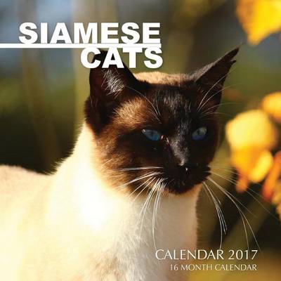 Book cover for Siamese Cats Calendar 2017