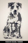 Book cover for Parson Russel Terrier