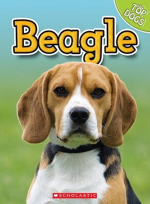 Book cover for Beagle