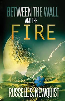 Book cover for Between the Wall and the Fire