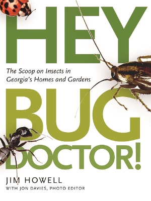 Book cover for Hey, Bug Doctor!