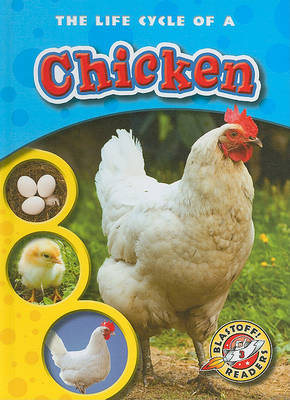 Cover of The Life Cycle of a Chicken