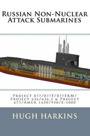 Cover of Russian Non-Nuclear Attack Submarines
