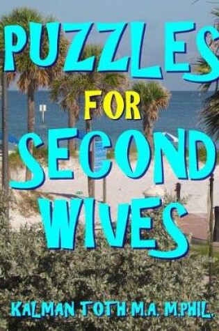 Cover of Puzzles for Second Wives