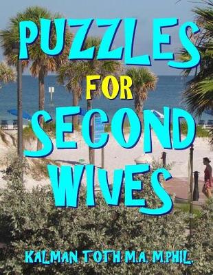 Book cover for Puzzles for Second Wives