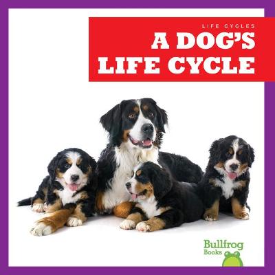 Cover of A Dog's Life Cycle