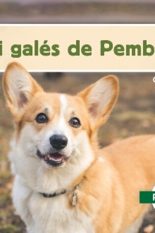 Cover of Corgi Galés de Pembroke (Pembroke Welsh Corgis)