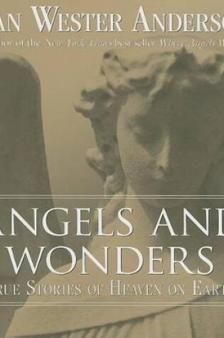 Cover of Angels and Wonders