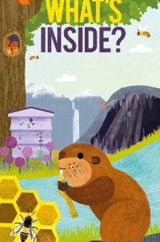 Cover of What's Inside?