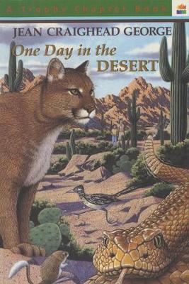 Book cover for One Day in the Desert