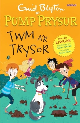 Book cover for Pump Prysur: Twm a’r Trysor