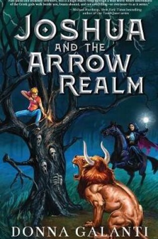 Cover of Joshua and the Arrow Realm