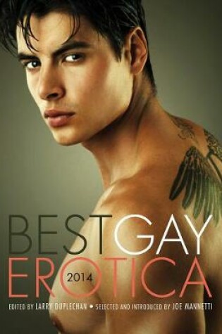 Cover of Best Gay Erotica 2014