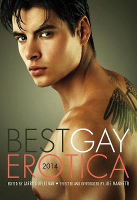 Book cover for Best Gay Erotica 2014