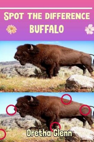 Cover of Spot the difference Buffalo