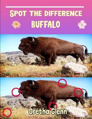 Book cover for Spot the difference Buffalo