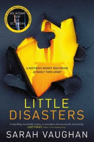 Cover of Little Disasters