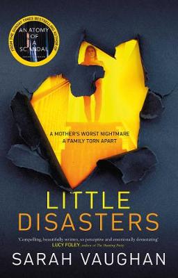 Book cover for Little Disasters