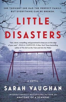 Book cover for Little Disasters