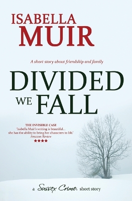 Book cover for Divided We Fall