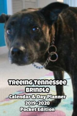 Cover of Treeing Tennessee Brindle Calendar & Day Planner 2019-2020 Pocket Edition