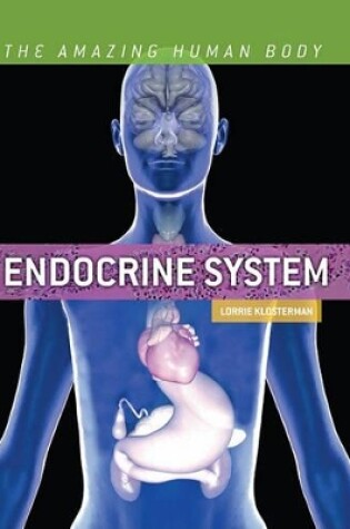 Cover of Endocrine System