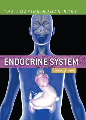 Book cover for Endocrine System