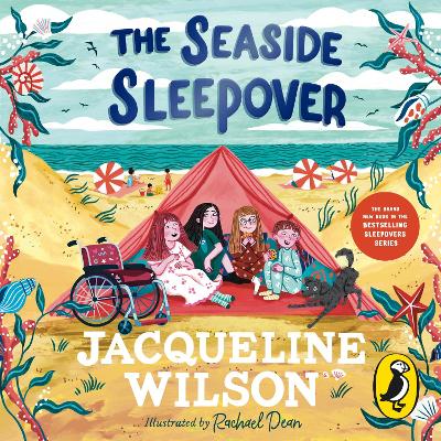 Book cover for The Seaside Sleepover