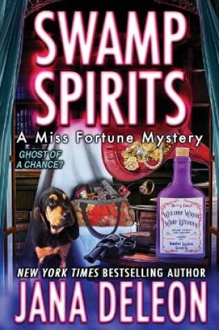 Cover of Swamp Spirits