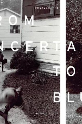 Cover of From Uncertain to Blue