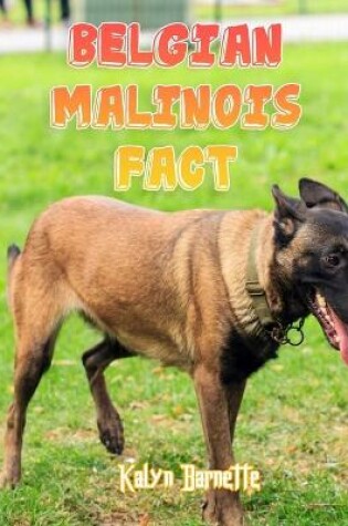 Cover of Belgian Malinois Fact