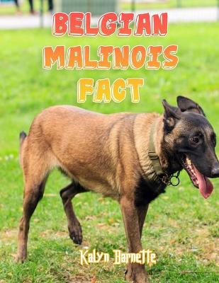 Book cover for Belgian Malinois Fact