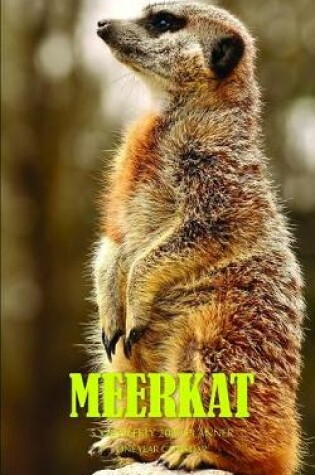 Cover of Meerkat 5 x 8 Weekly 2020 Planner